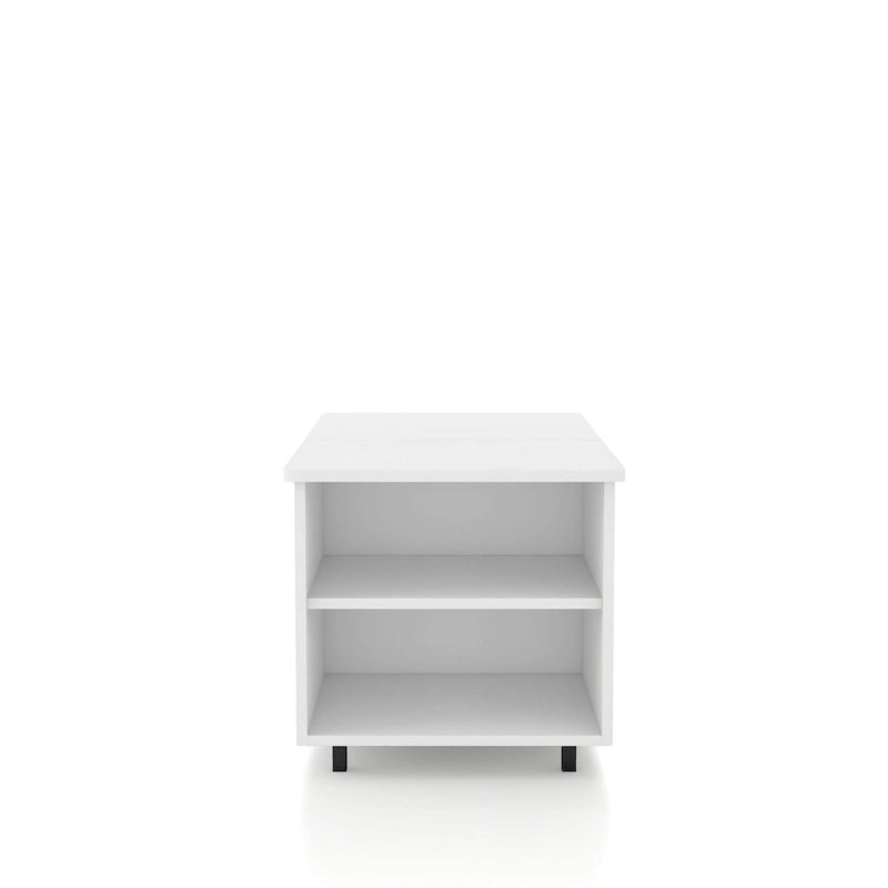 Table basse relevable de 37 pouces avec lumière LED 16 couleurs et étagère réglable